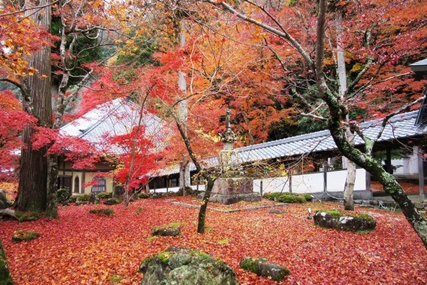 永源寺の中庭2.JPG